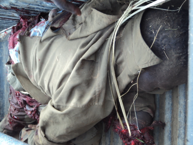 Nuba Mountains war crime victims Sudan Darfur Blue Nile