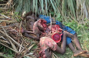 Report from Nuba Mountains: many will die, many...