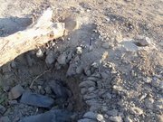 Kauda bombing, Nuba mountains