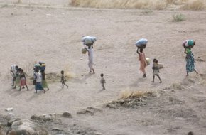 Southern Kordofan - January 13, 2012