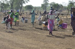 Report from Blue Nile, 29 May 2012