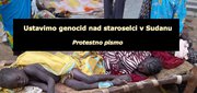Let Us Stop the Genocide of Indigenous People in Sudan